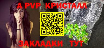 СК Рыбинск