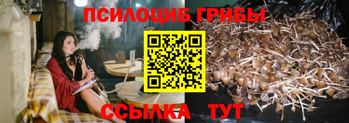 Псилоцибиновые грибы MAGIC MUSHROOMS  Галлюциногенные грибы Psilocybine cubensis  Сатка  Вход с VPN 