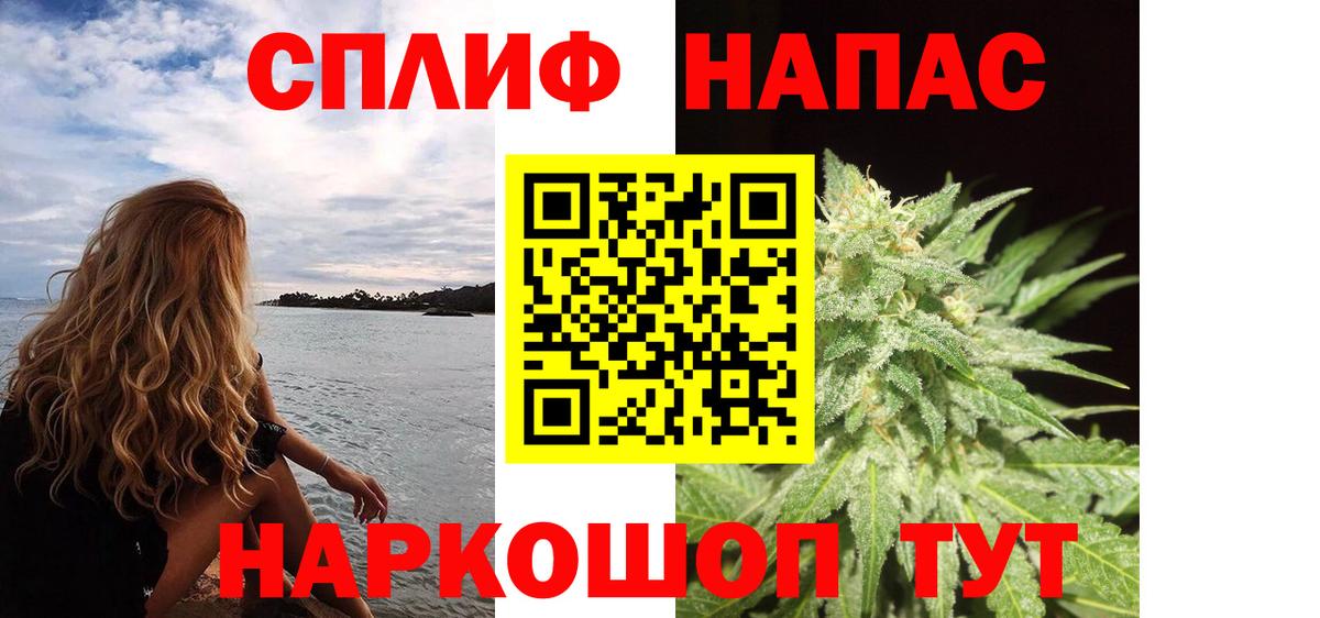 Конопля конопля Сатка